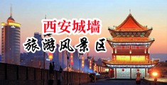 女人的骚逼逼插插中国陕西-西安城墙旅游风景区